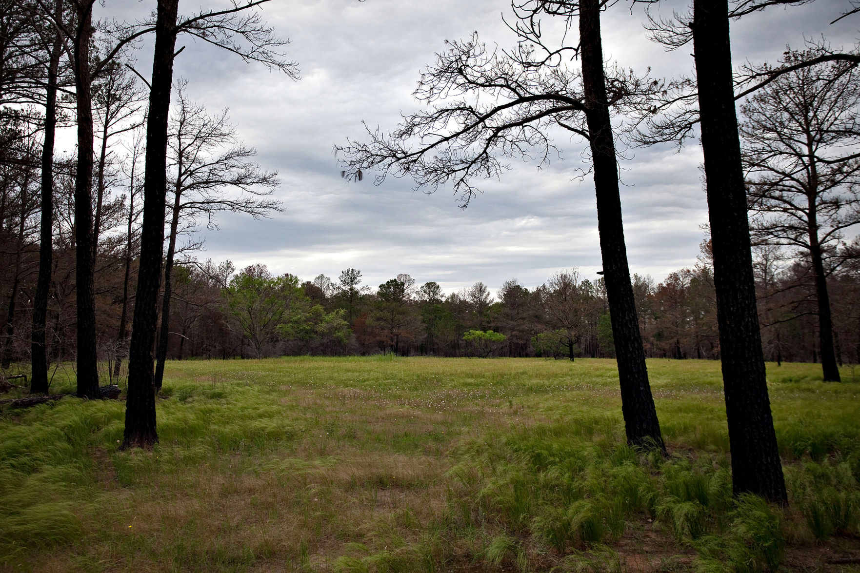 Texas voters could stabilize funding for state parks with Proposition 5